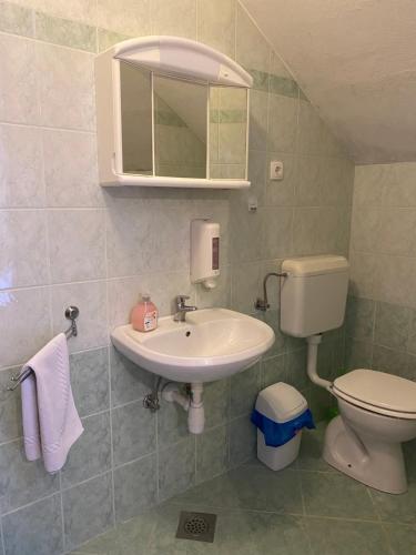 a bathroom with a sink and a toilet and a mirror at KMETIJA KNAVS in Nova Vas