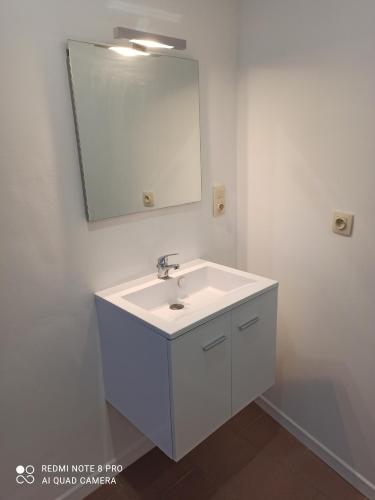 a bathroom with a white sink and a mirror at Loft cosi à proximité du centre géographique Belge in Gembloux