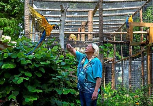 a woman is feeding a parrot in a cage at The parrot hotel, live in a rescue animal park in Næstved