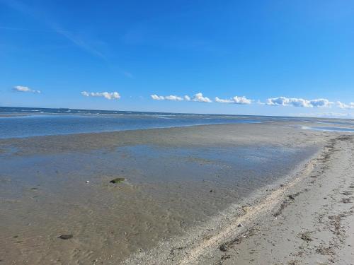 an empty beach with the ocean in the background at KRAGKAER Deer-Lodge B&B & Guest House - Unique Holiday Homes in Sæby
