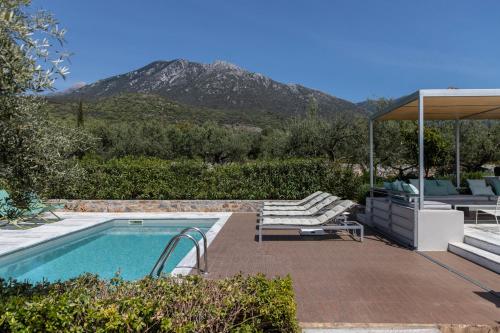 a backyard with a swimming pool and a patio with a mountain at The Architect's Villa in Levktron