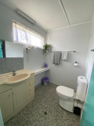 a bathroom with a white toilet and a sink at Dukes Plantation Retro Motel in Tyndale