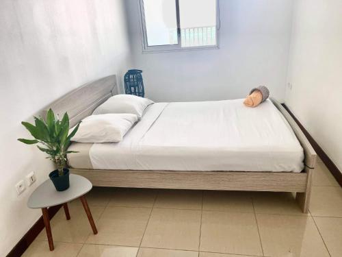 Una cama en una habitación con una planta. en Entièrement équipé, climatisé, Wifi, au dernier étage sans vis à vis en Saint-Denis