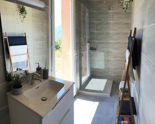 a bathroom with a sink and a shower at Petit Fare Rochois avec mezzanine in La Roche-des-Arnauds