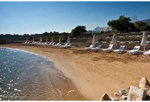 a row of beach chairs and umbrellas on a beach at Ada Beach Hotel in Kérynia