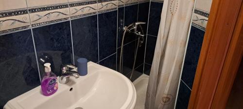 Elle comprend un lavabo et une bouteille de savon pourpre. dans l'établissement Apartment ŠODAN 72, à Omiš