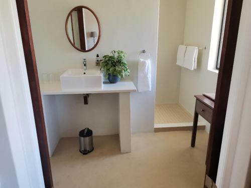a bathroom with a sink and a mirror at Cape Dawn Guest House in Parow