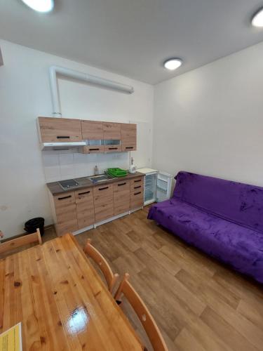 a living room with a purple couch and a wooden table at Bonvolon in Prague