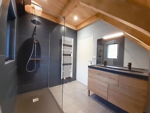 a bathroom with a glass shower and a sink at Les Burons du Mont-Dore in Le Mont-Dore