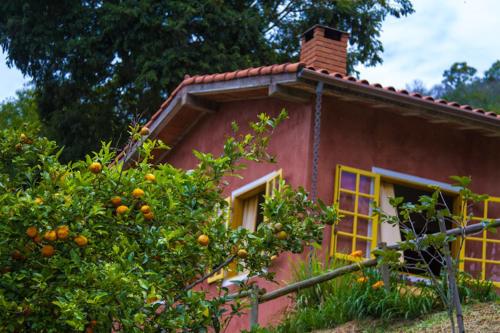 a pink house with orange trees in front of it at Pousada Vale das Araucárias in Santo Antônio do Pinhal
