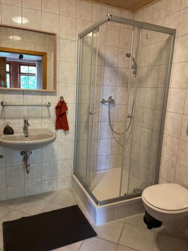 uma casa de banho com um chuveiro, um WC e um lavatório. em Ferienwohnung zur Ratsklause em Arnstadt