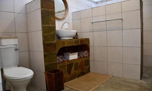 a bathroom with a toilet and a sink at Cheetah View Lodge in Otjiwarongo