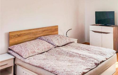 a bedroom with a bed with a wooden headboard and a television at Nice Apartment In Sarbinowo With Kitchen in Sarbinowo