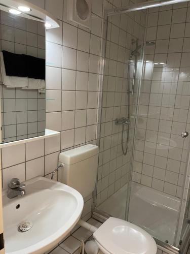 a bathroom with a shower and a toilet and a sink at Ap. Stern in Marburg an der Lahn