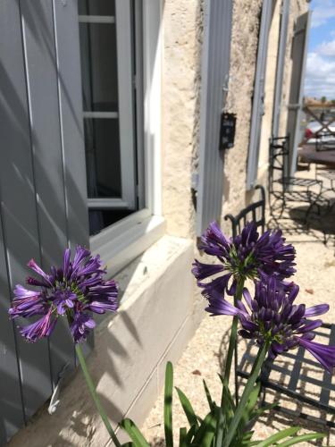 two purple flowers in front of a house at Le Relais D'Aulnay in Aulnay