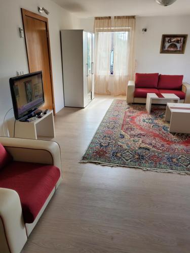 sala de estar con sofá rojo y TV en Vila Zvizdic en Ilijaš
