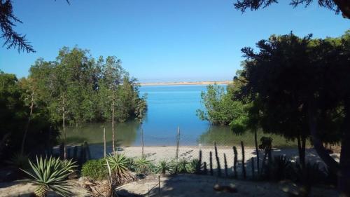 a view of a body of water with trees at LE KABOSS in Toliara