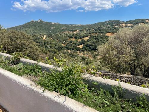 a view of a mountain from a road at STAZZU LU CHISSONI in Luogosanto