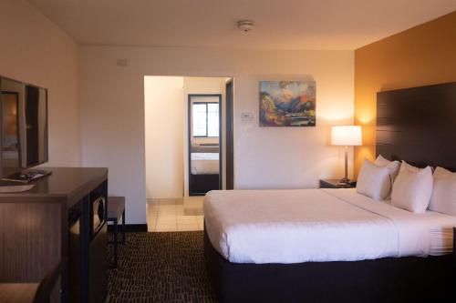 Habitación de hotel con cama y TV en Best Western Sonoma Winegrower's Inn en Rohnert Park
