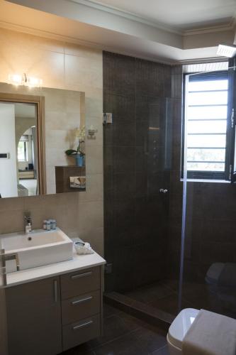 a bathroom with a shower and a sink and a mirror at Villa-Azalea in Almirida