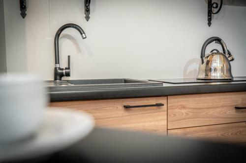 a kitchen with a sink and a tea kettle at Good Morning Giewont & JACUZZI in Kościelisko