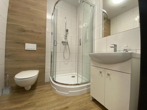 a bathroom with a shower and a toilet and a sink at Zajazd Tadeo in Pietrzykowice