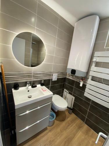 une salle de bain avec un lavabo, des toilettes et un miroir dans l'établissement 3- Au pied des Falaises du Tréport à 50m de la plage, au Tréport