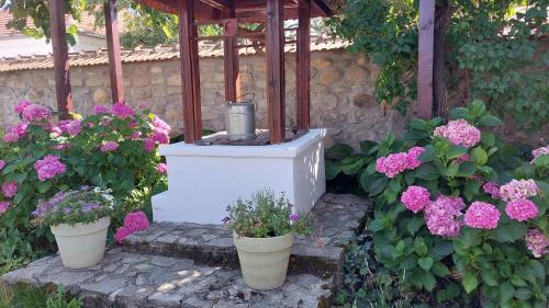 Photo de la galerie de l'établissement Casa Cânda, à Sălaşu de Sus