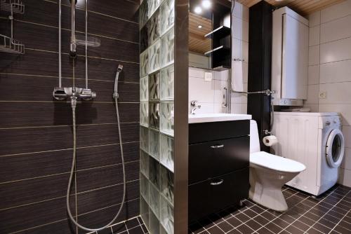 a bathroom with a shower and a toilet and a sink at Economy Tieva in Levi