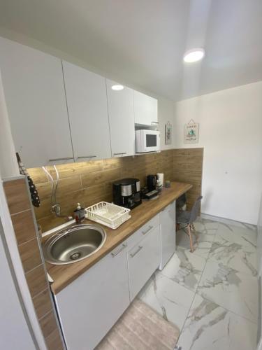 eine Küche mit einer Spüle und einer Mikrowelle in der Unterkunft Apartman Bonaca in Niš