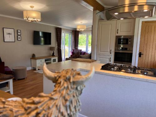 a kitchen with an animal head in the middle of it at Hollicarrs - Dragonfly Lodge in York