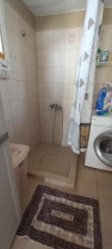 a bathroom with a shower with a toilet and a sink at Our Country House in Vergia