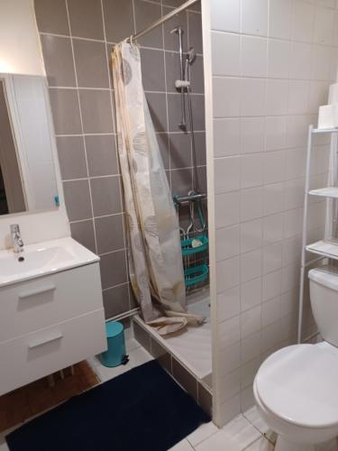 La salle de bains est pourvue d'une douche, de toilettes et d'un lavabo. dans l'établissement GITE RURAL CHATAIGNERAIE CANTALIENNE, 