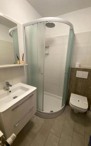 a bathroom with a shower and a sink and a toilet at Apartments Villa Bubi in Pula