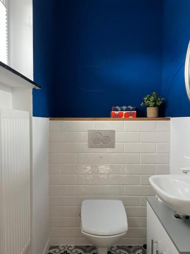 a bathroom with a white toilet and a blue wall at Strandhaus Schilksee in Kiel