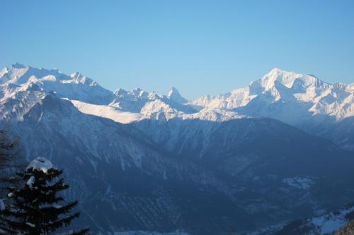 une chaîne de montagnes enneigée avec un arbre au premier plan dans l'établissement Chalet Mungg, à Bettmeralp