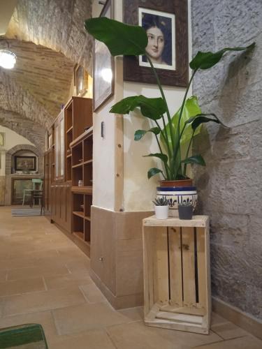 a plant on a wooden table in a hallway at Casa vacanza Todi Antica in Todi