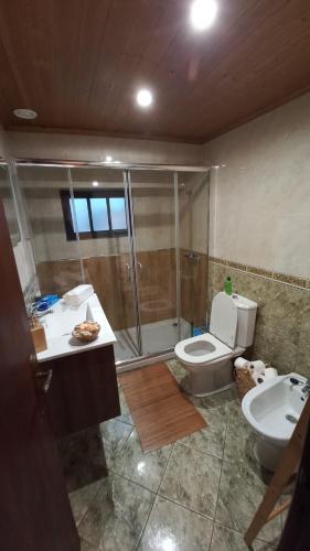 帕雷迪什迪科拉的住宿－Casa da Rosa Porreiras，带淋浴、卫生间和盥洗盆的浴室