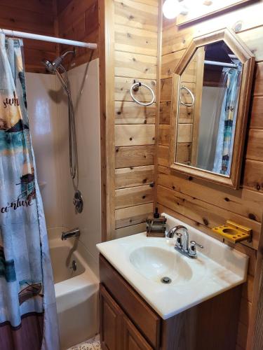 y baño con lavabo, ducha y espejo. en Butler's Bay Cottage cottage, en Hayward