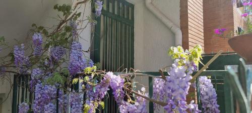 a bunch of purple flowers hanging from a fence at CASADEI24 in Guidonia