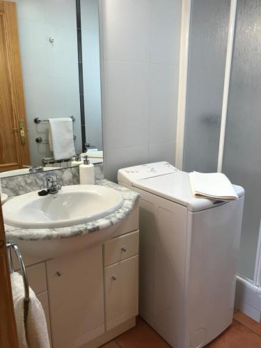 a bathroom with a sink and a washing machine at Fonda Peremiquel in Castellar de NʼHug