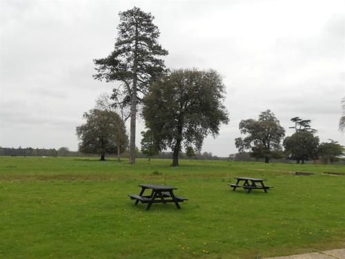 zwei Picknicktische auf einem Feld mit Bäumen im Hintergrund in der Unterkunft The Stables at Henham Park in Southwold