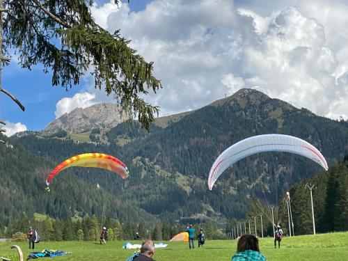 a group of people flying kites in a field at Fedaia Joy B&B in Canazei