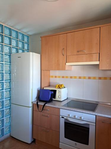 a kitchen with a white refrigerator and a microwave at Tu Morada en Talavera in Talavera de la Reina