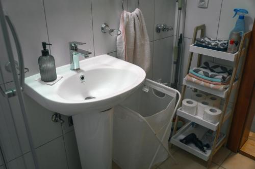een badkamer met een witte wastafel en een douche bij Boulevard Studio Apartment in Novi Sad