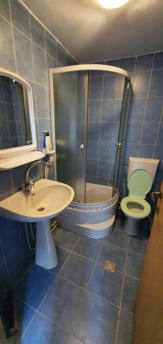 un bagno piastrellato blu con un water e un lavandino di Farmec vintage3 a Cluj-Napoca