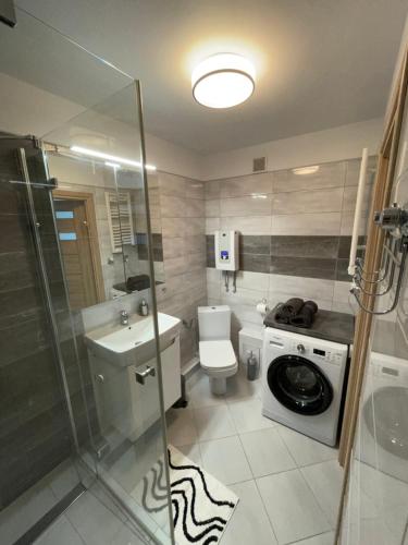 瓦烏布日赫的住宿－Apartament Wałbrzych，浴室配有卫生间水槽和洗衣机。