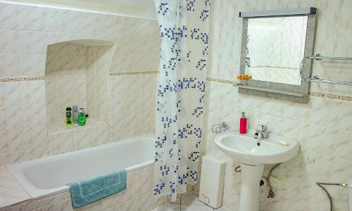 a bathroom with a sink and a tub and a shower at Penzion 1670 in Nové Hrady