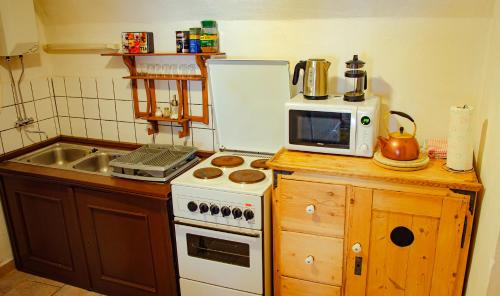 a small kitchen with a stove and a microwave at Penzion 1670 in Nové Hrady