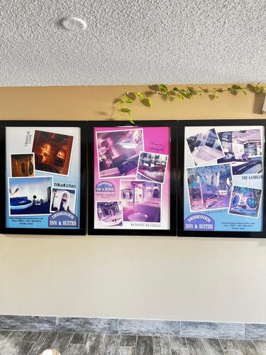 Designer Inn and Suites – Photos 3